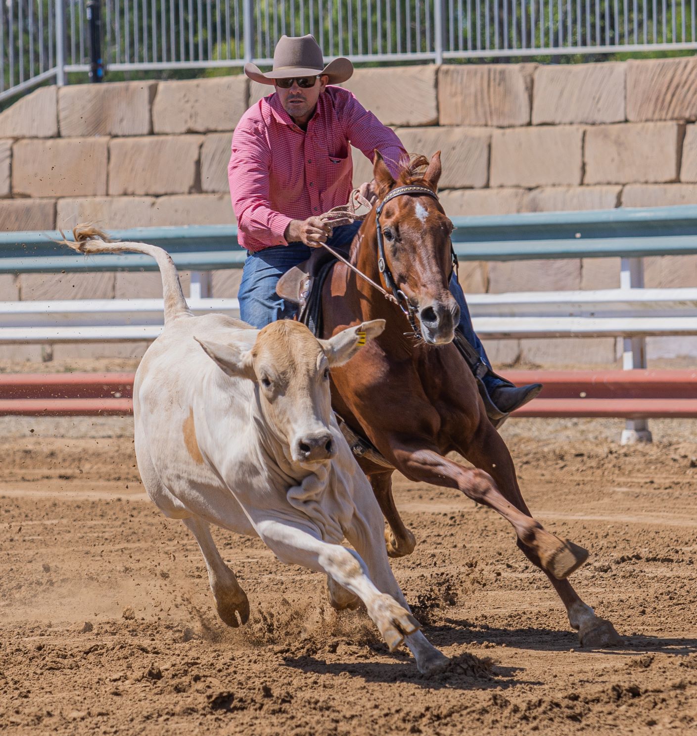 The current image has no alternative text. The file name is: porter-lr-7th-plagoons-ga-open-2022